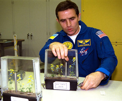 Украинец готовится к биологическим экспериментам в космосе.