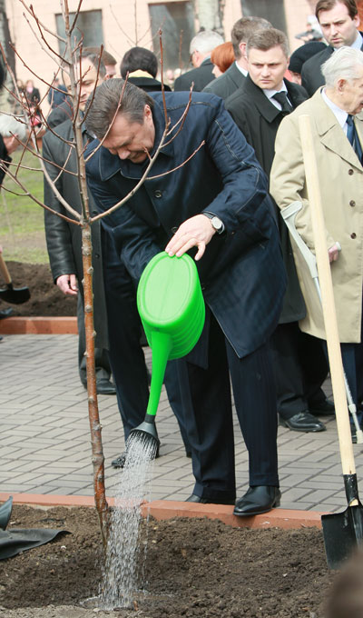 Посадив рябину, Виктор Янукович принялся щедро поливать саженец из лейки.