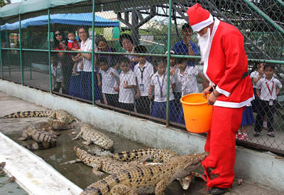 В зоопарке на Филиппинах к крокодилам в вольер пришел Санта-Клаус с вкусными подарками в ведре. Однако зубастым обитателям больше понравились штаны новогоднего деда. Крокодилы растерзали их на тряпки.