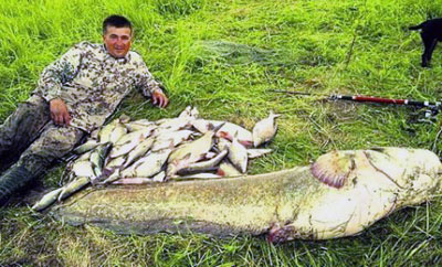 48-килограммового сома-гиганта длиной в человеческий рост поймал на удочку в реке Стыр лучанин Руслан Яблончук. 