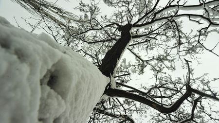 В день выборов во Львове выпал снег.
