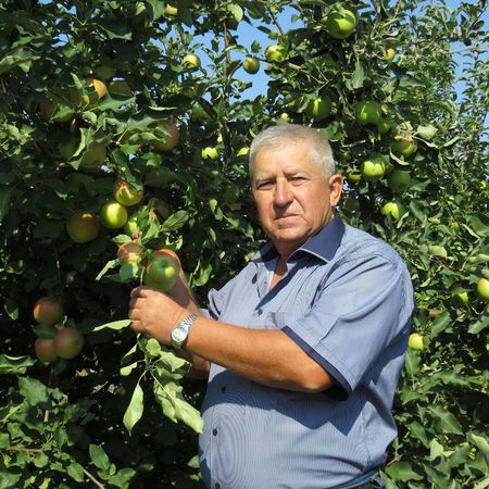 Александр Пономарёв демонстрирует урожай сада на капельном орошении.