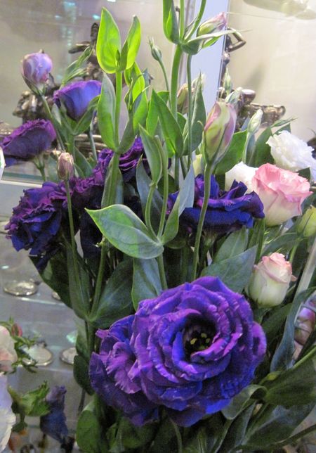 Благодаря роскошной палитре окрасок эустома (лизиантус) никогда не надоест: ведь этот цветок бывает и белым, и розовым, и голубым, и синим,  и фиолетовым (23 грн.).