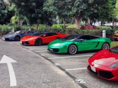Такая роскошь и без охраны: Дубай заполонили Lamborghini (ВИДЕО)