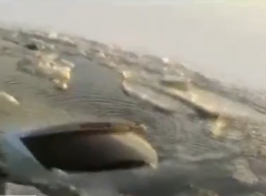 Вождение по-украински: джип ушёл под лёд (ВИДЕО)