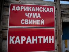 Из-за чумы в  Крыму объявлен карантин