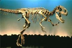 Коллекционер купил скелет динозавра за миллион евро