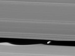 В NASA показали луну внутри кольца Сатурна