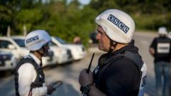 Спокойно: в ОБСЕ поставили точку в скандале на Закарпатье