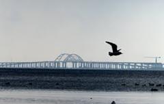 Керченский мост грозит экологической катастрофой