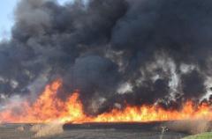 Масштабный пожар в Николаеве: горит река
