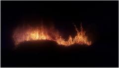 В Горловке возле жилых домов произошло масштабное возгорание камышей. ВИДЕО