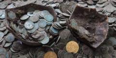 Стадо диких кабанов раскопало сотни старинных монет