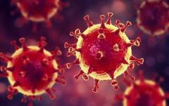 Ученые проверили версию искусственного происхождениия коронавируса
