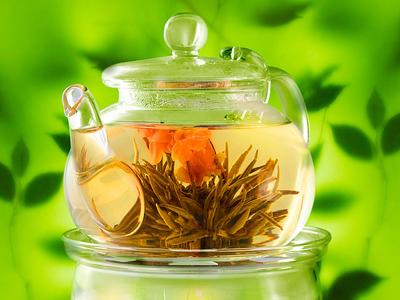 Белый чай поможет избавиться от лишних килограммов