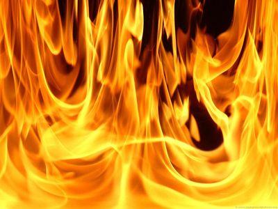 В Херсонской области масштабные лесные пожары. Пять человек пострадали