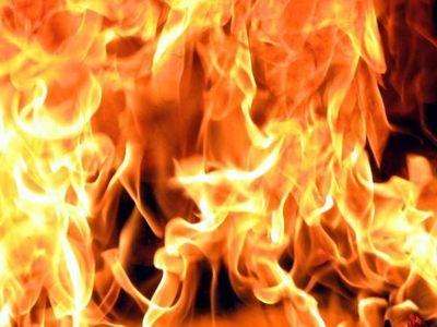 Пожары в Донецкой области унесли жизни троих человек