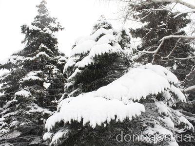 Донецк завалило снегом (ФОТО)