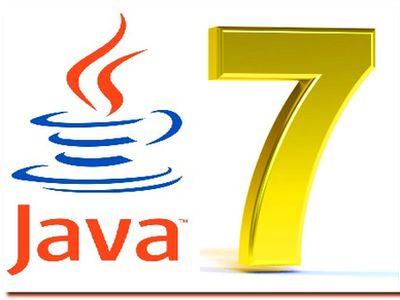 Oracle     Java 7 