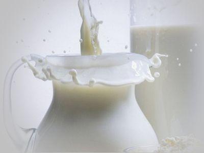Рада хочет запретить производство "молокосодержащих продуктов"