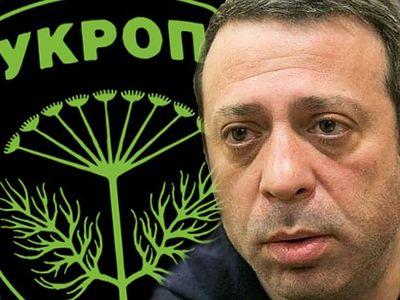 Задержание лидера "УКРОПА": никакой политики или наоборот