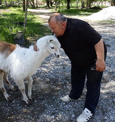 Савелий ВАШУРА: «Животные нуждаются в нашей любви и заботе».