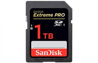 SanDisk      SD-