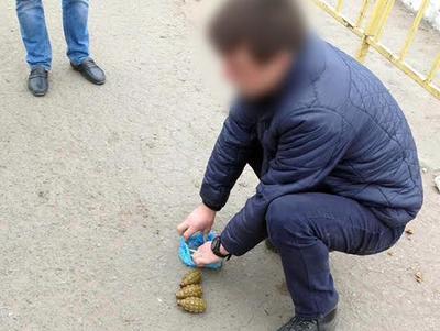 В Курахово полиция задержала харьковчанина, пытавшегося сесть в автобус с 3 боевыми гранатами