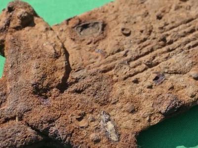 Под Славянском обнаружили уникальную находку, которой около 2500 лет  (ВИДЕО)