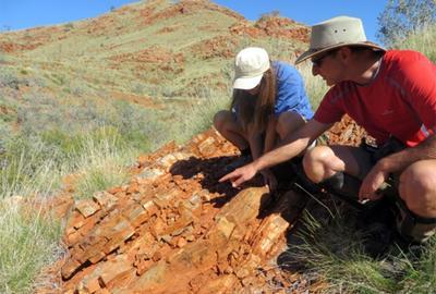 В Австралии обнаружили древнейшие следы жизни на Земле