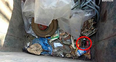 В мусорном баке Мариуполя бомжи нашли гранату и мину