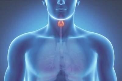 Восемь явных признаков нарушения работы щитовидки