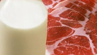 Эксперты обещают рост цен на мясо и молоко в Украине: названы цифры