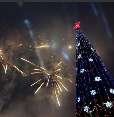 В Донецке и Луганске зажглись новогодние елки