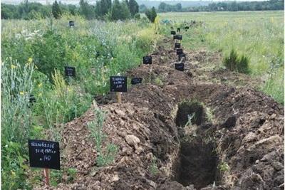 На кладбище в Енакиево появилось много свежих могил боевиков «ДНР»