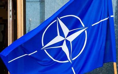 Петиция о помощи НАТО Украине собрала более половины необходимых голосов