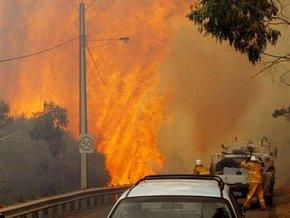 Пожары в Австралии подбираются к крупным городам