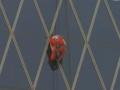 Человека-паука из Франции "посадили" на присоски (ВИДЕО)