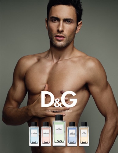 D&G Anthology