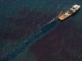Катастрофа в Мексиканском заливе: страдает все живое (ФОТО)