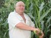 Иван Лабадзе использует кукурузные ряды как кулисы для спасения овощей в жару.