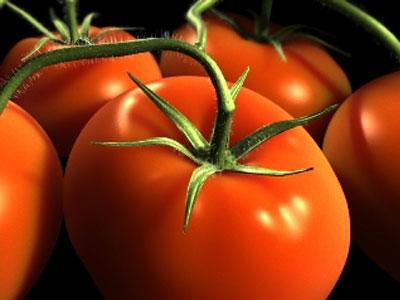 http://donbass.ua/multimedia/images/news/original/2010/08/26/pomidor.jpg