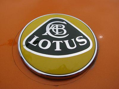 Lotus   