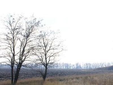 Прогноз погоды в Украине на 11 декабря: холодно, возможен туман 