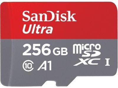 SanDisk       microSD