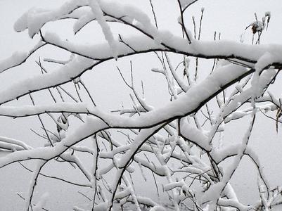 Погода в Украине 14 февраля: потеплеет, местами мокрый снег