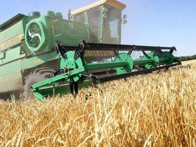 Украина оказалась в тройке наибольших экспортеров сельхозпродукции в Европу