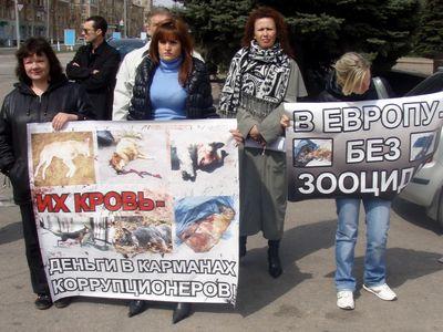 "ЕВРО" на крови: на акции  в защиту животных публично казнили собаку 