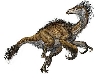    Beipiaosaurus inexpectus.   .