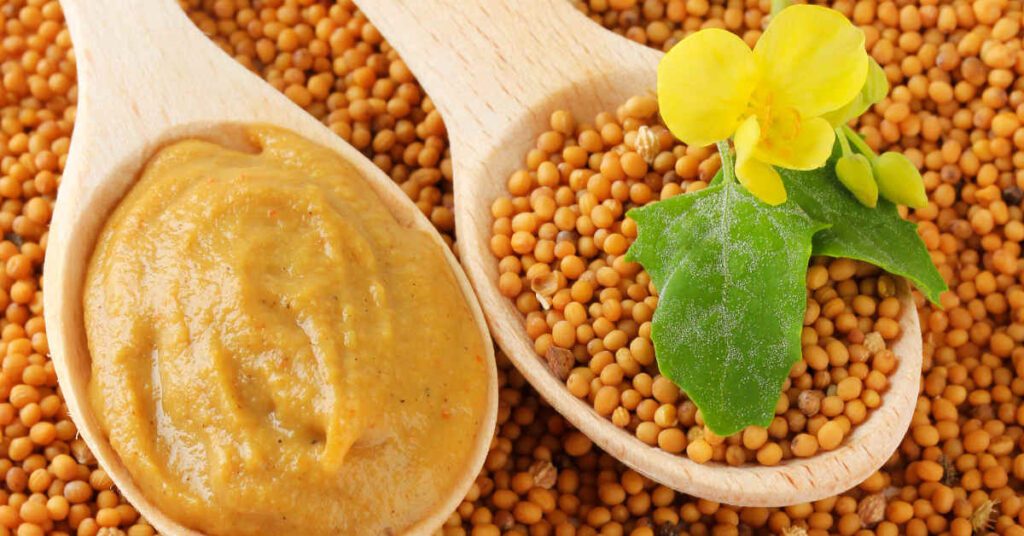 гірчиця-користь-і-шкода